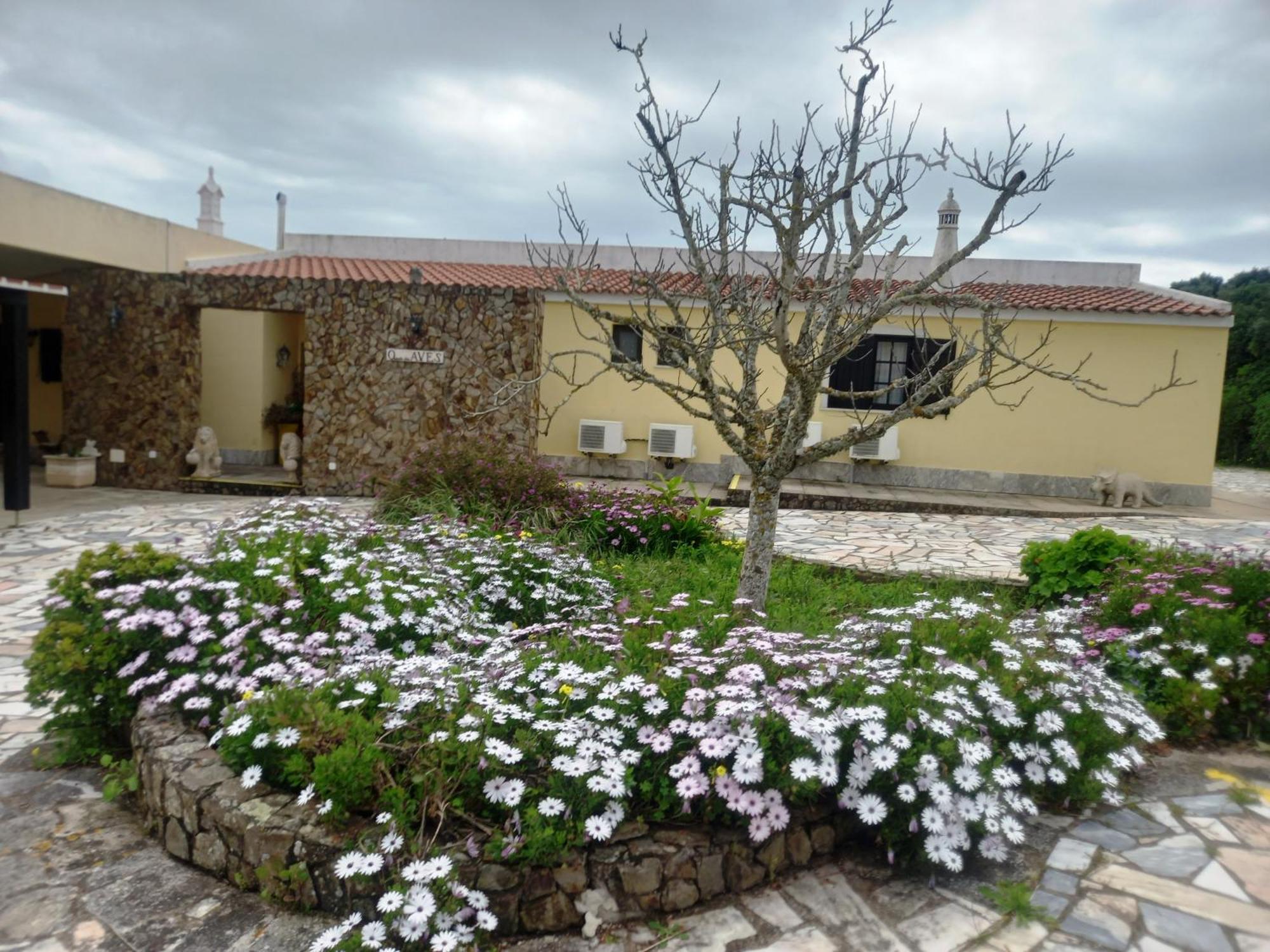 Quinta Das Aves - Apartamento T2 Com Piscina Comum Odiaxere Bagian luar foto